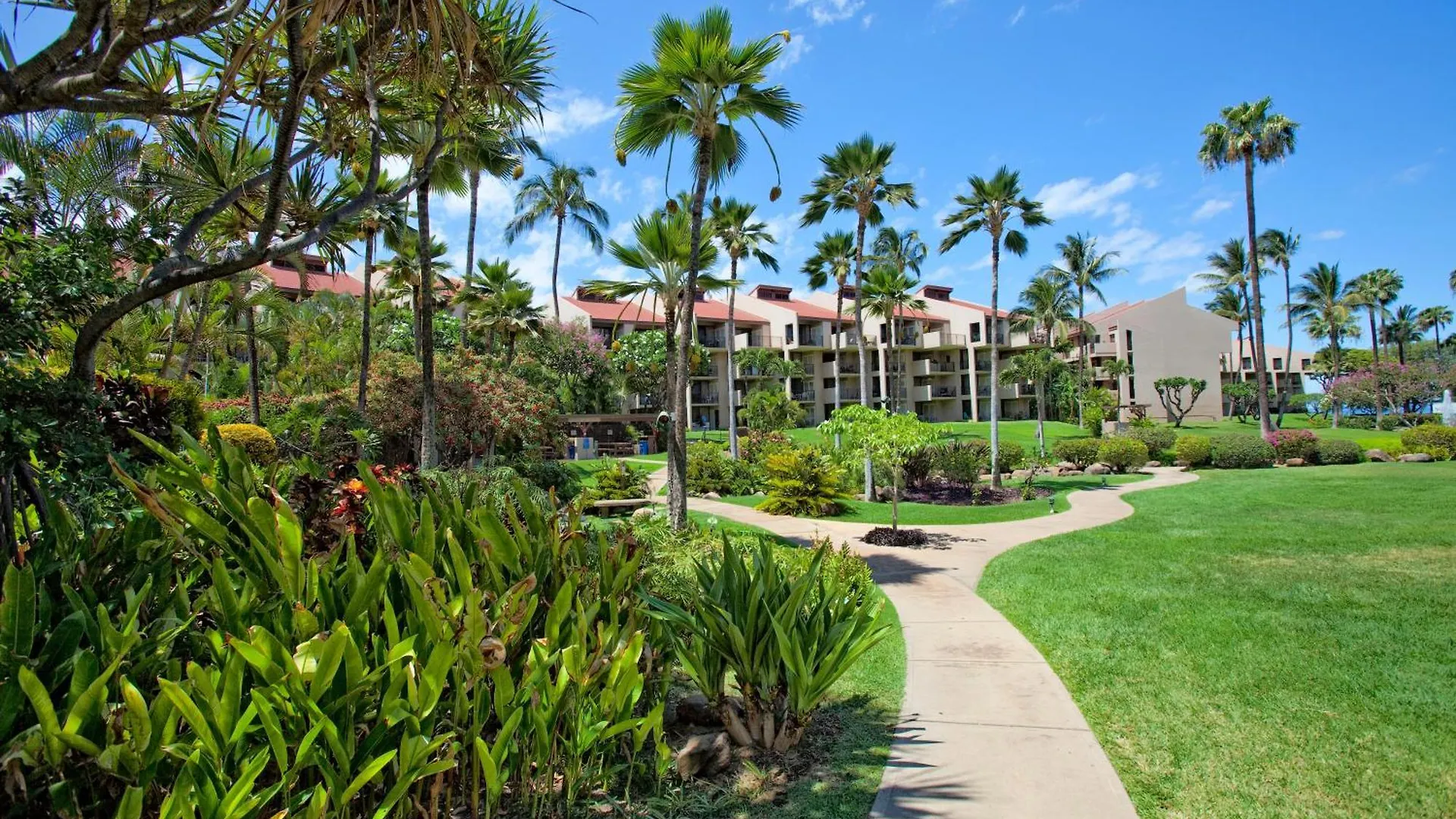Kamaole Sands 7-306 - Mch Kihei 0*,  United States